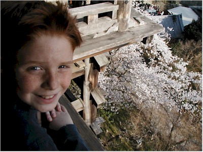 japan_kyoto_dunn_kiyomizu_temple_cliff.jpg